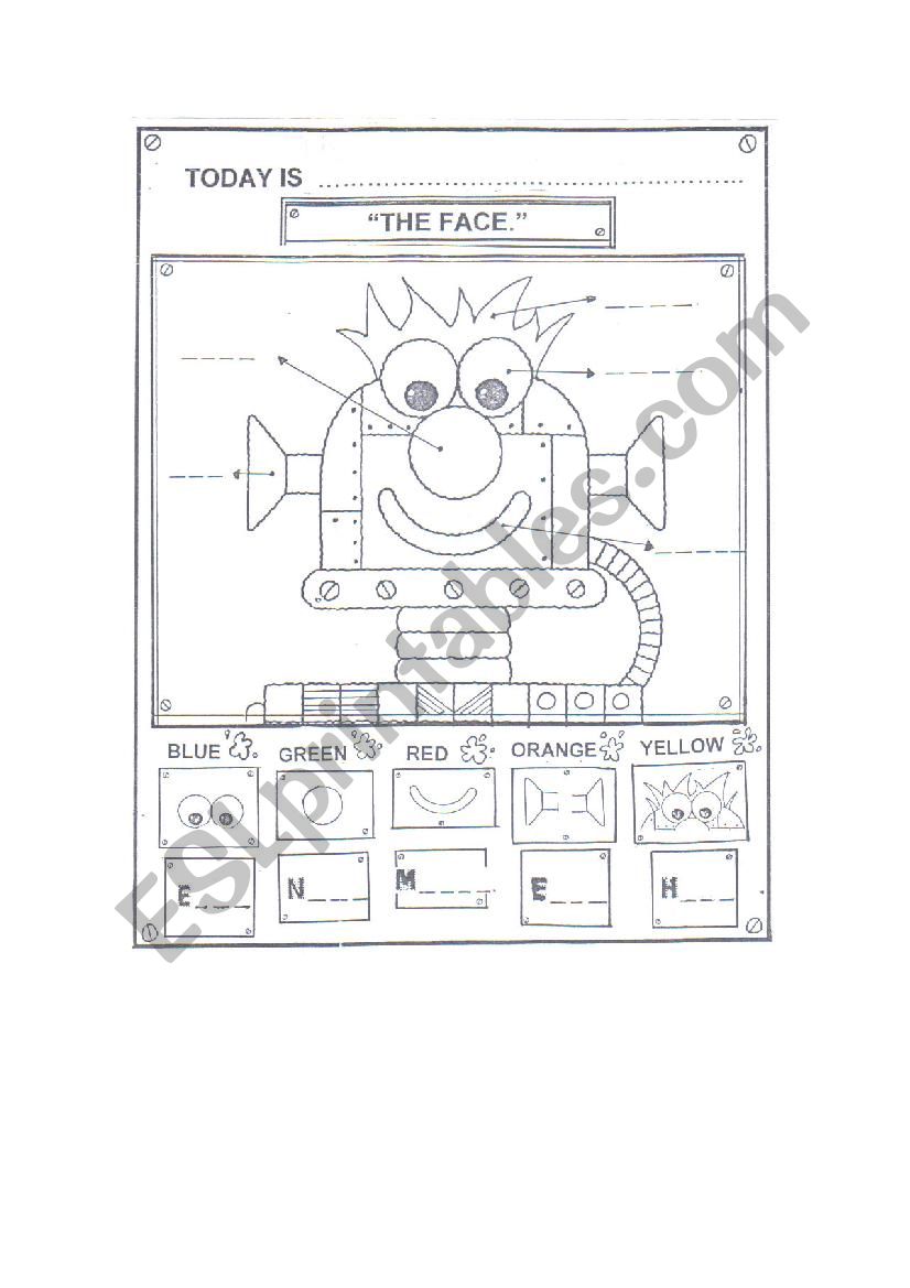 PARTS OF THE FACE worksheet