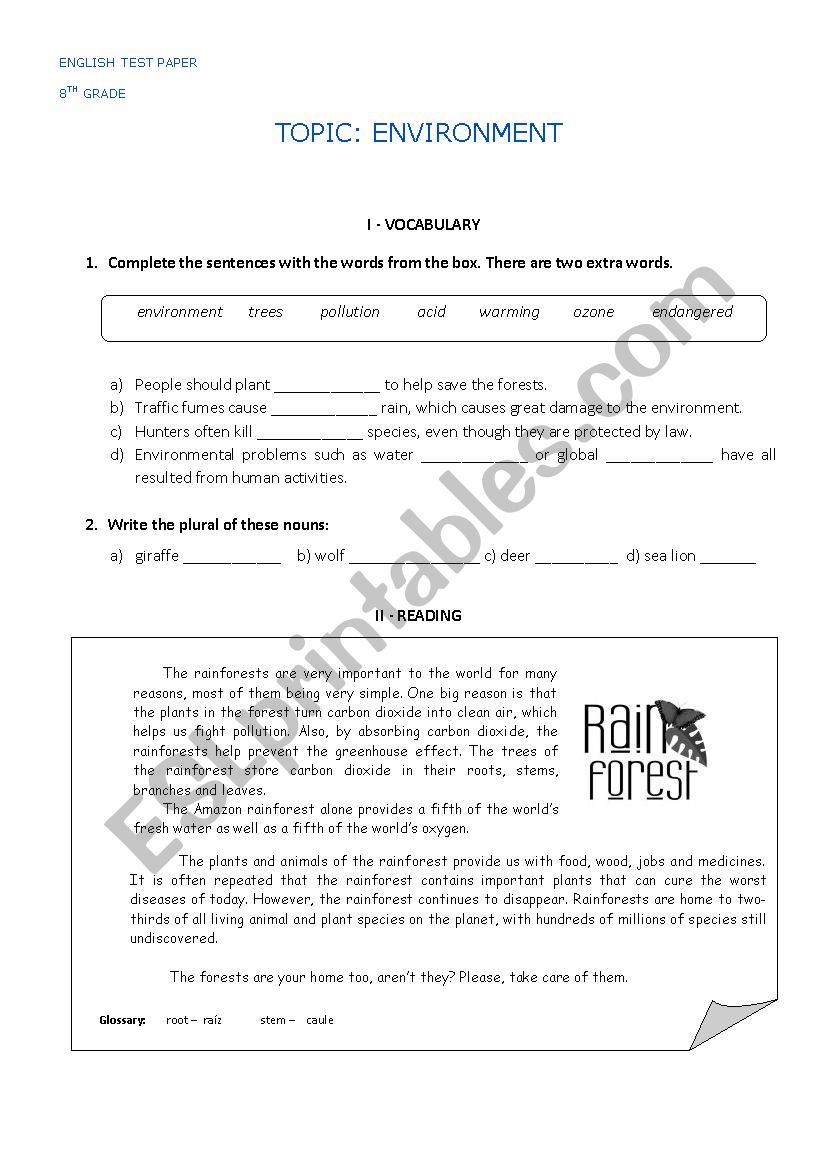 Rainforest  worksheet