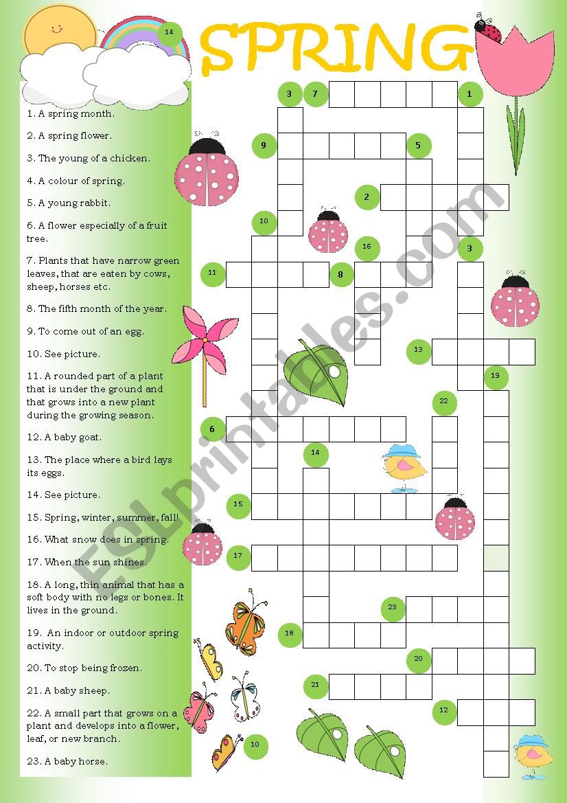 Crossword: Spring worksheet