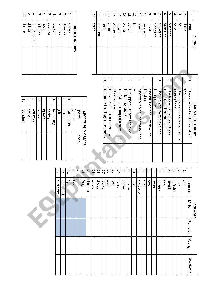 My Vocabulary Test  worksheet