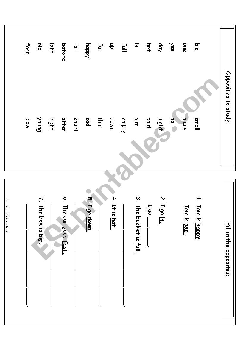 Opposites worksheet