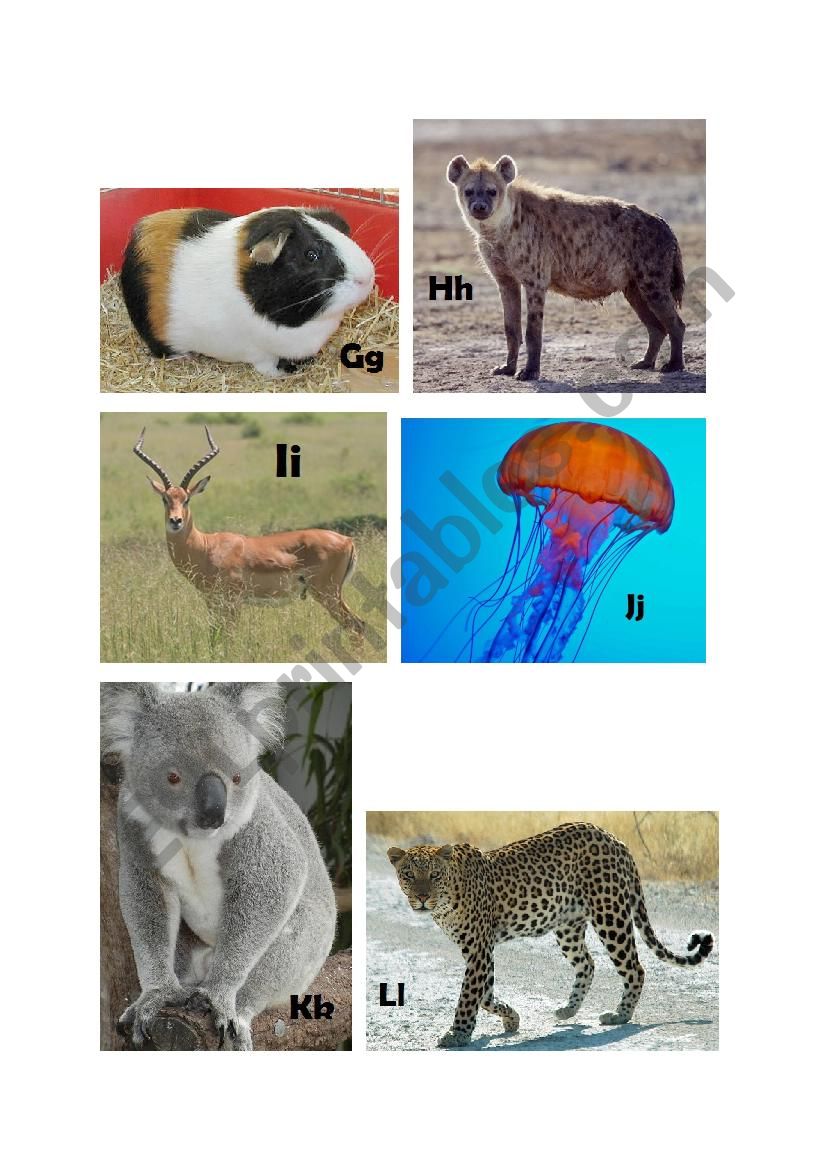 Animals A-Z (Page 02 - G-L) worksheet