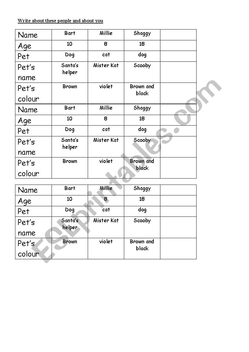 Cartoons pets worksheet