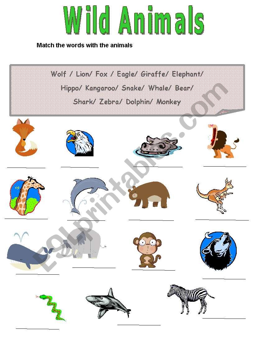 Wild Animals Matching worksheet