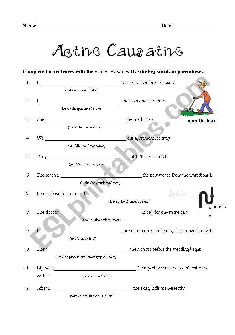 Active Causative worksheet