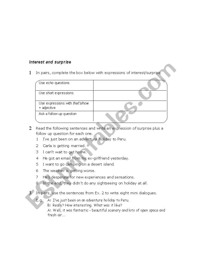 Echo Questions  worksheet