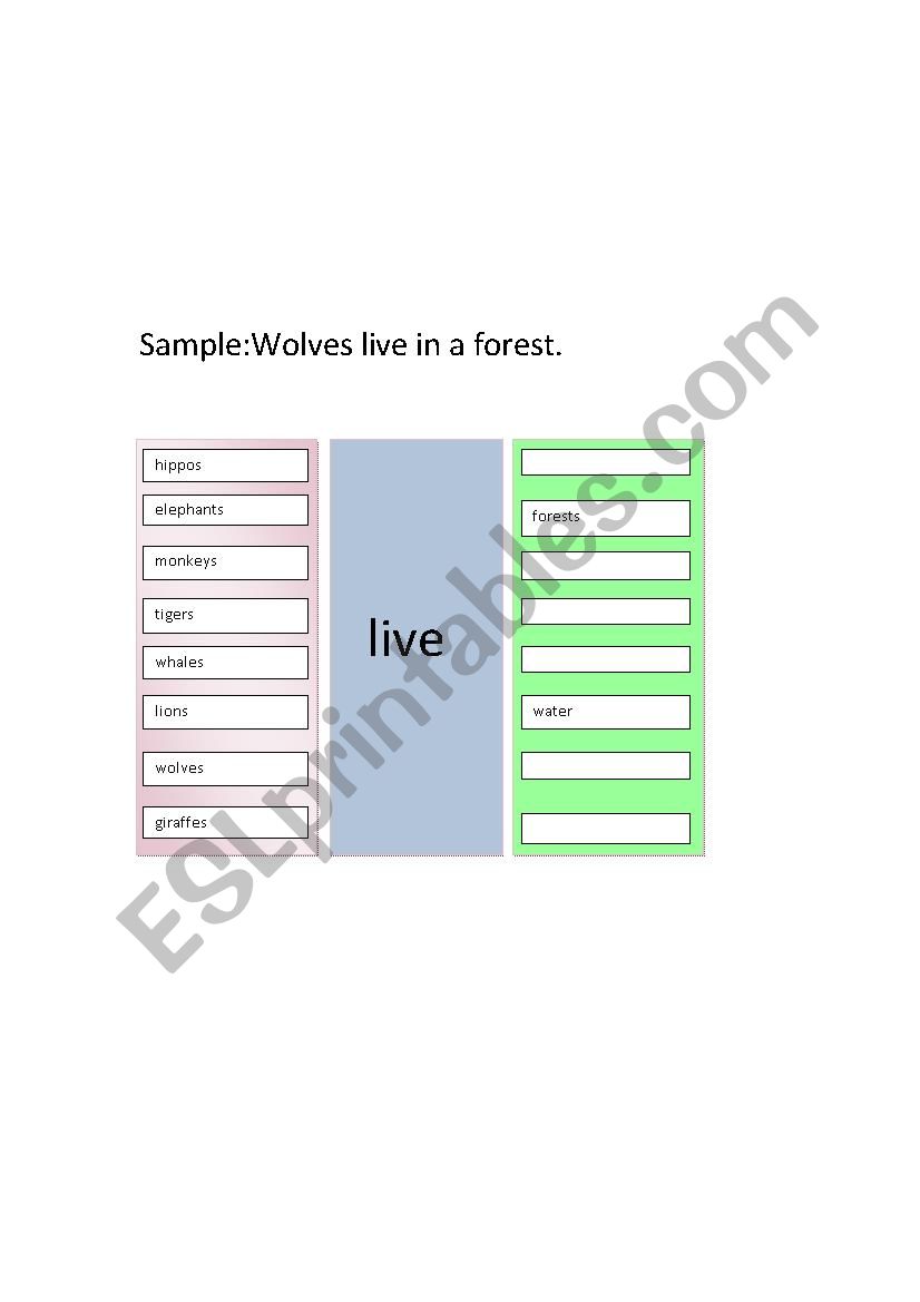 animal worksheet worksheet