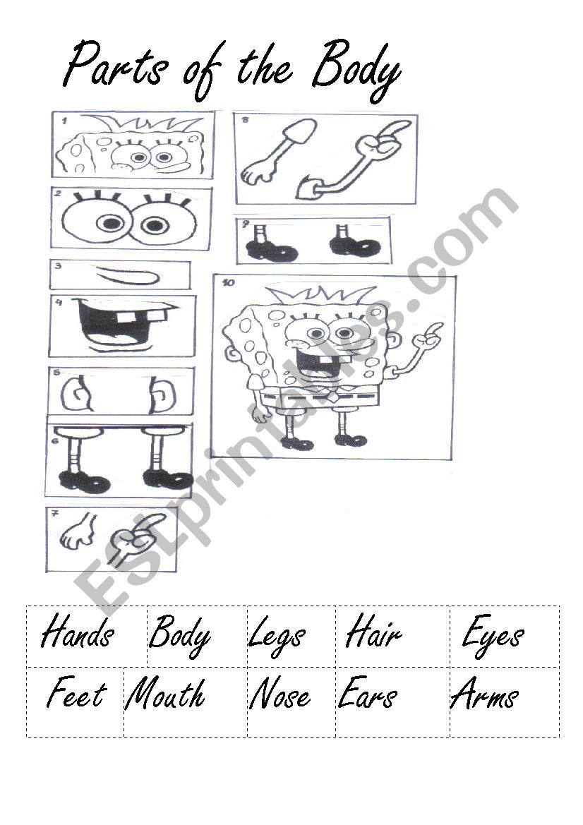 parts of the body worksheet