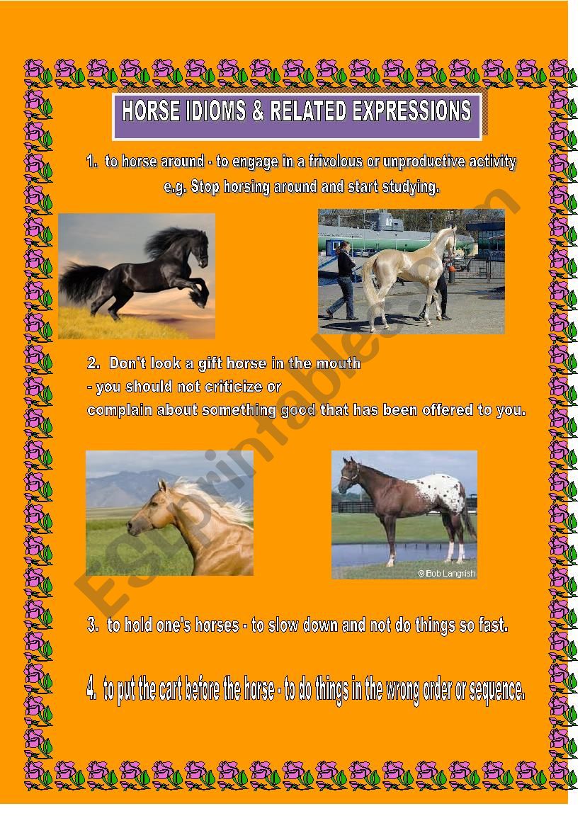 Horse Idioms & expressions worksheet