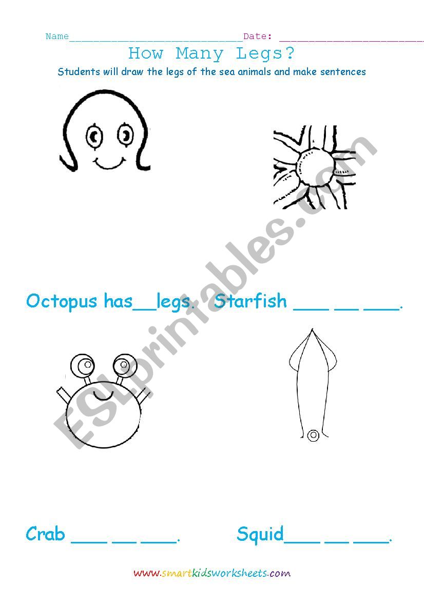 Sea animals legs worksheet