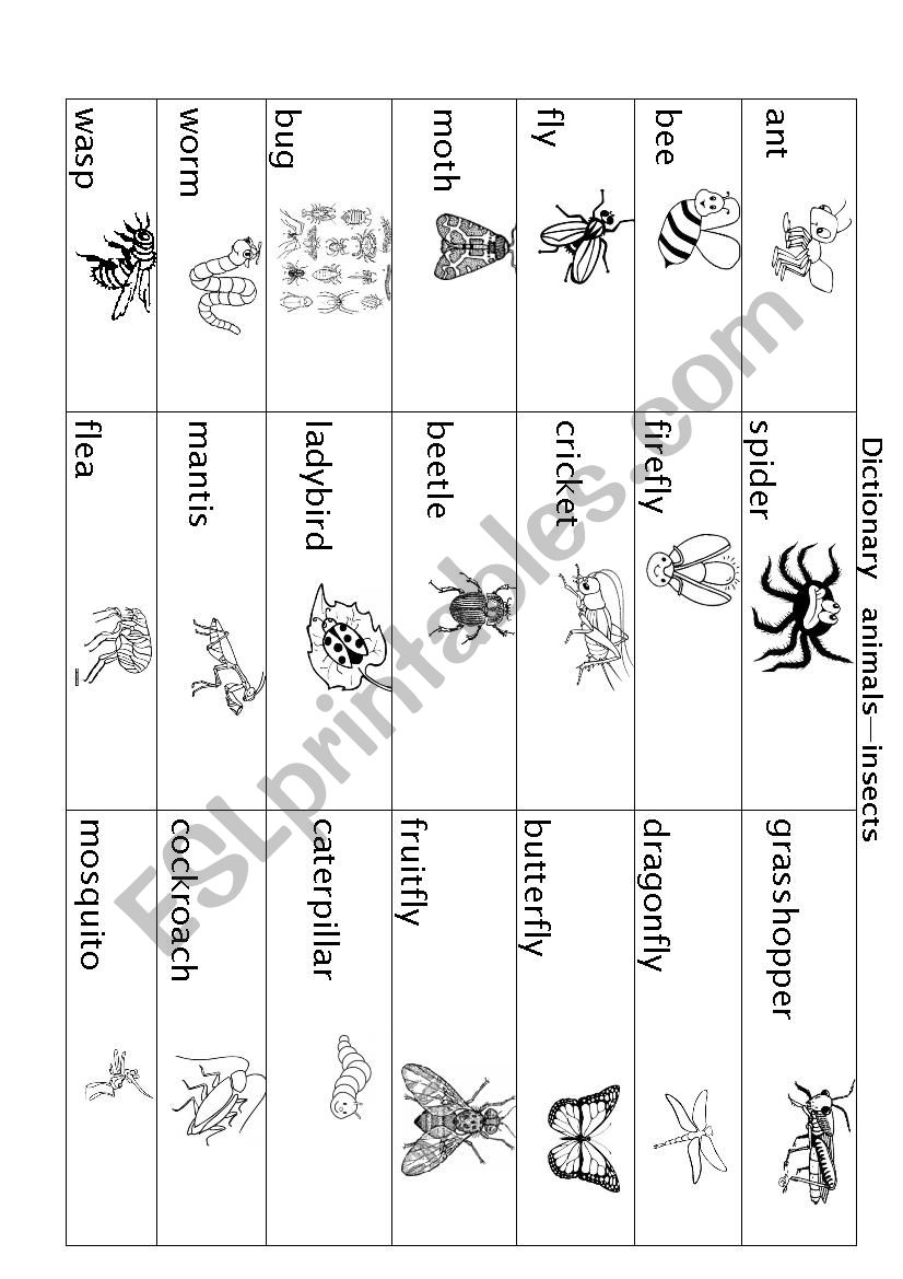 Insect picture dictionary worksheet