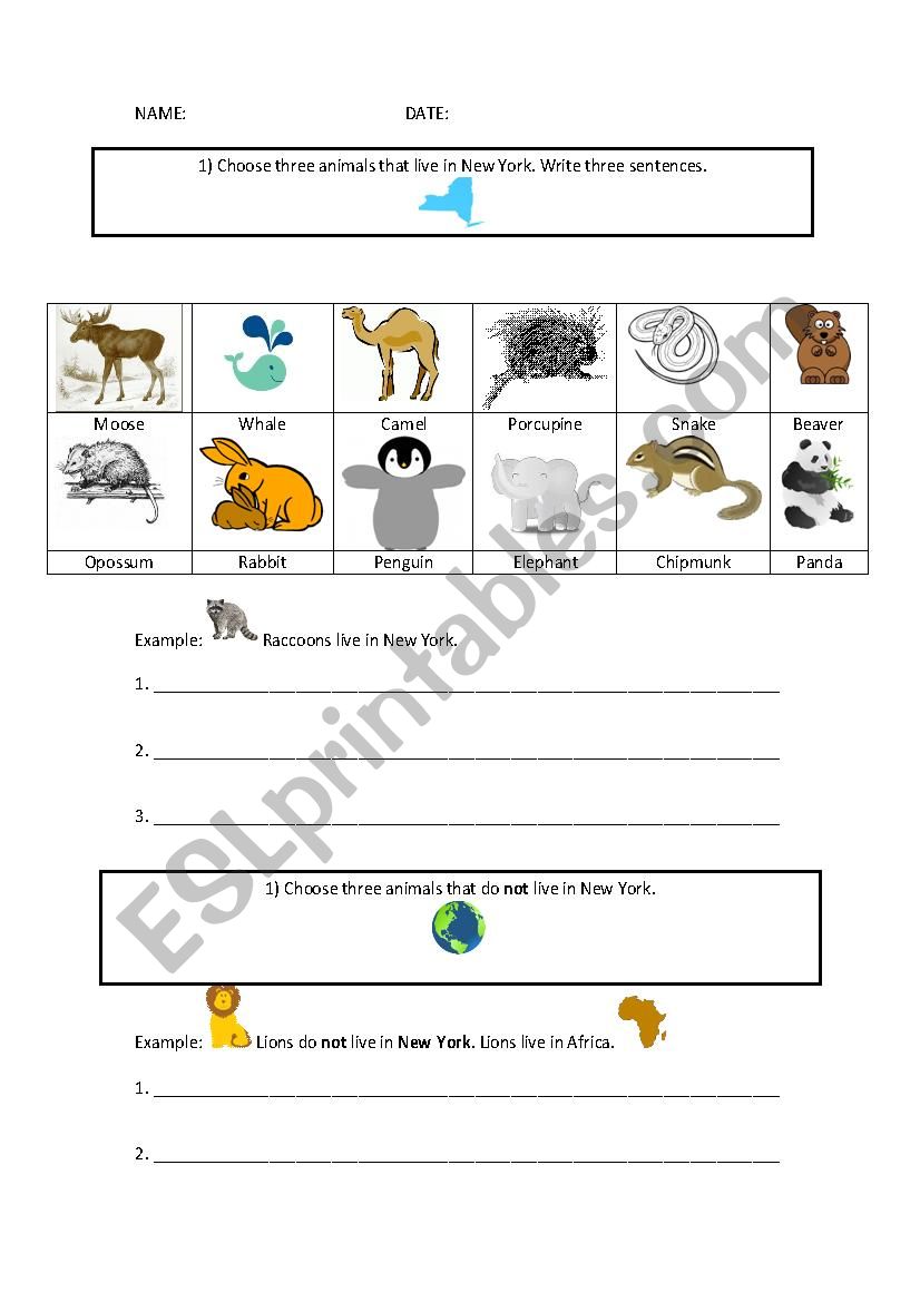 Animal Practice Worksheet worksheet