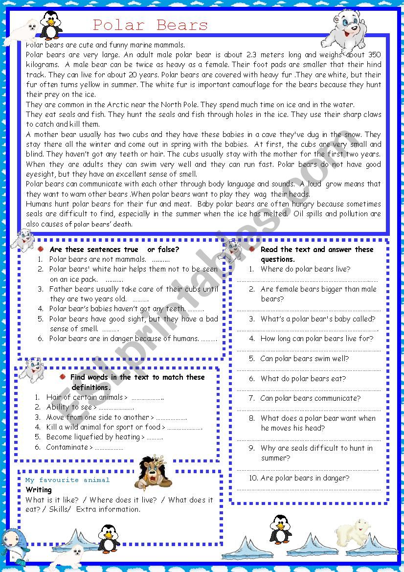 Polar Bears worksheet