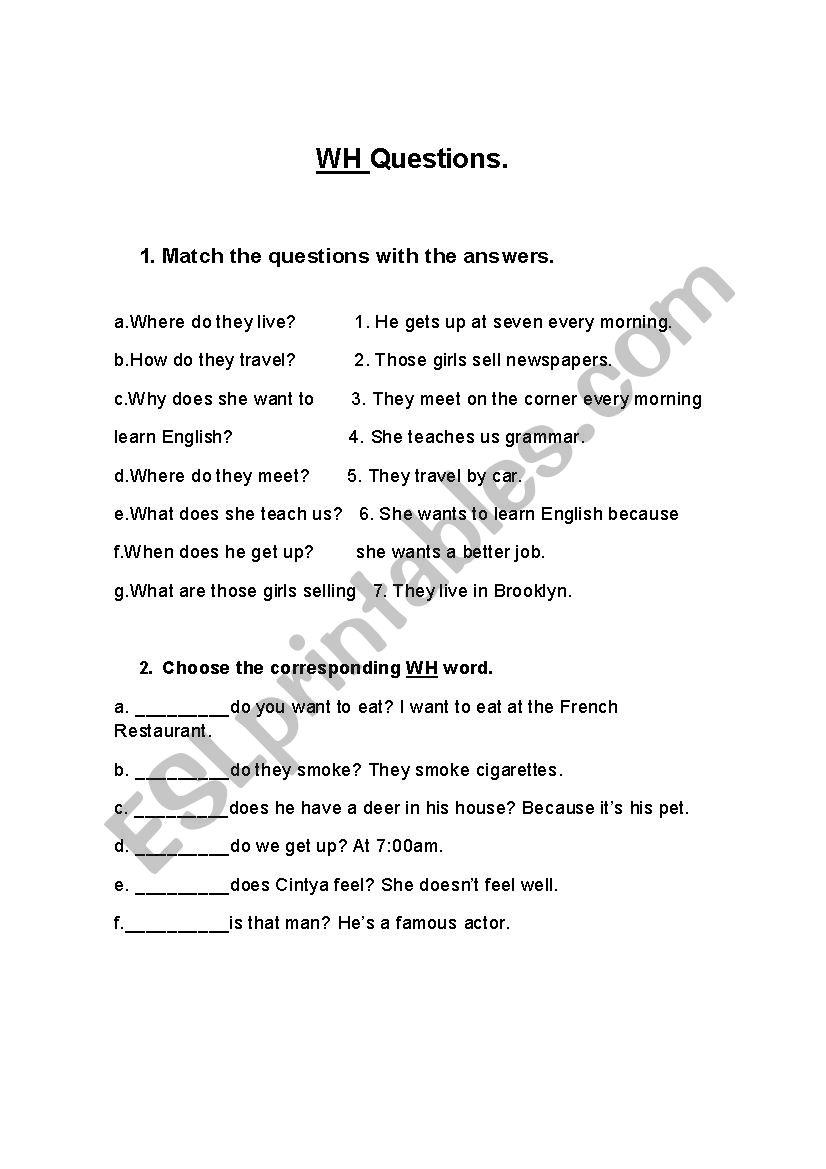 WH Question worksheet