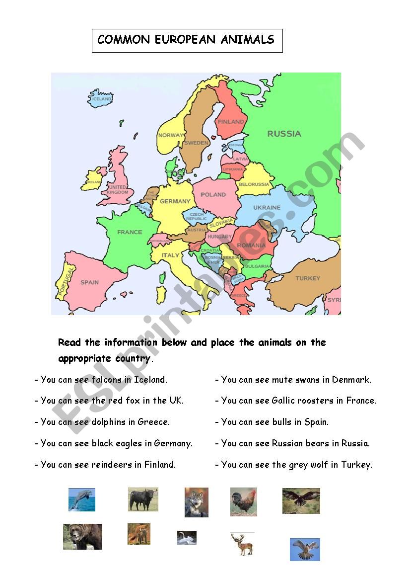 COMMON EUROPEAN ANIMALS worksheet