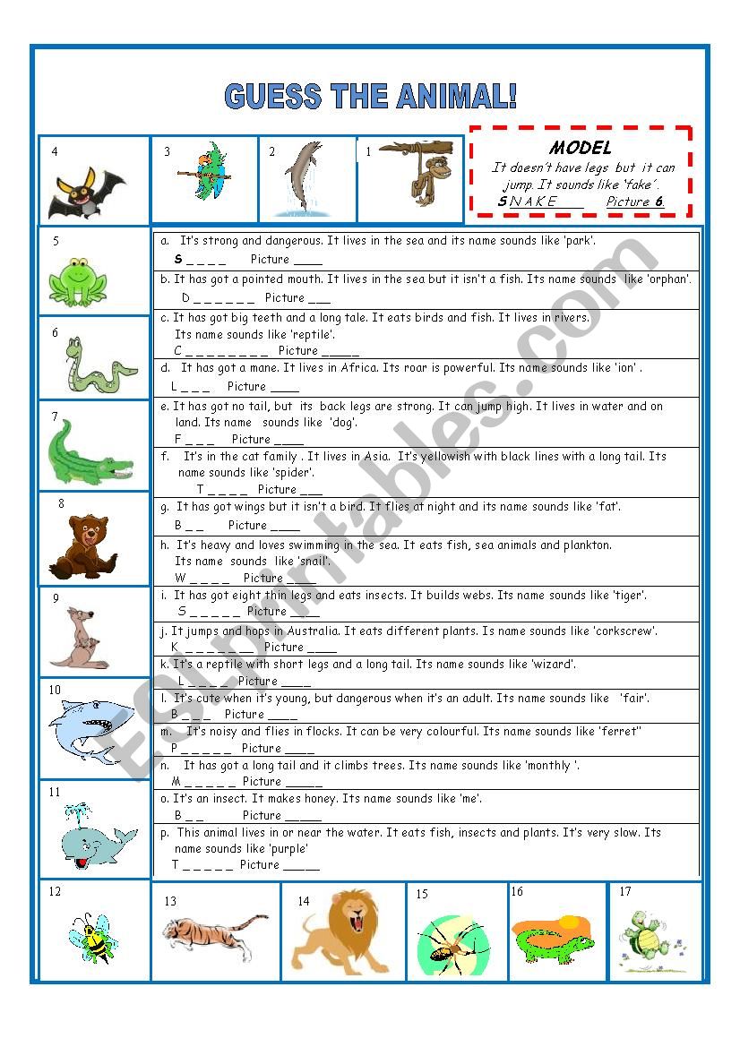 Animals worksheet