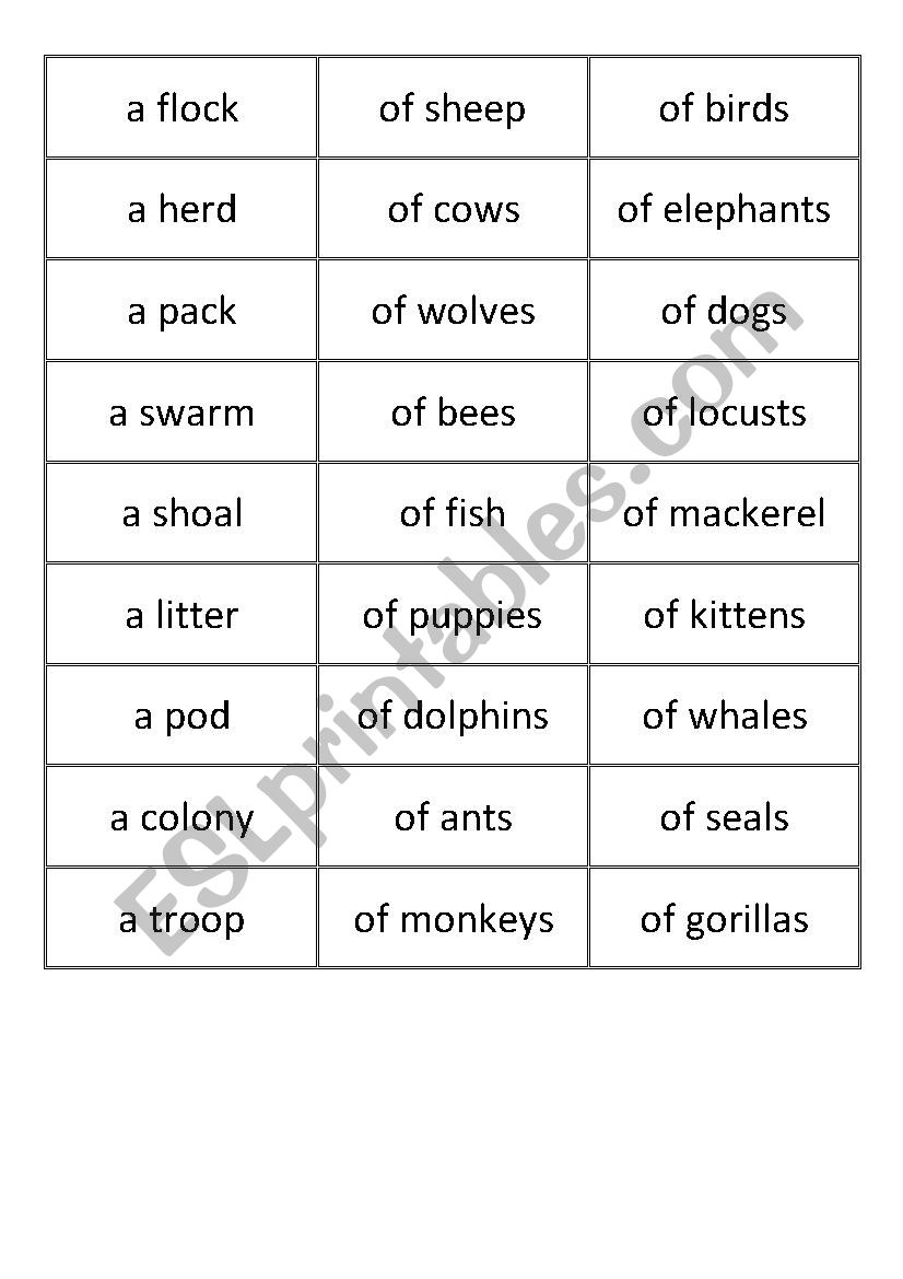 collective nouns for animals worksheet