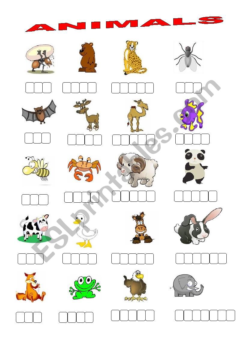 ANIMALS worksheet