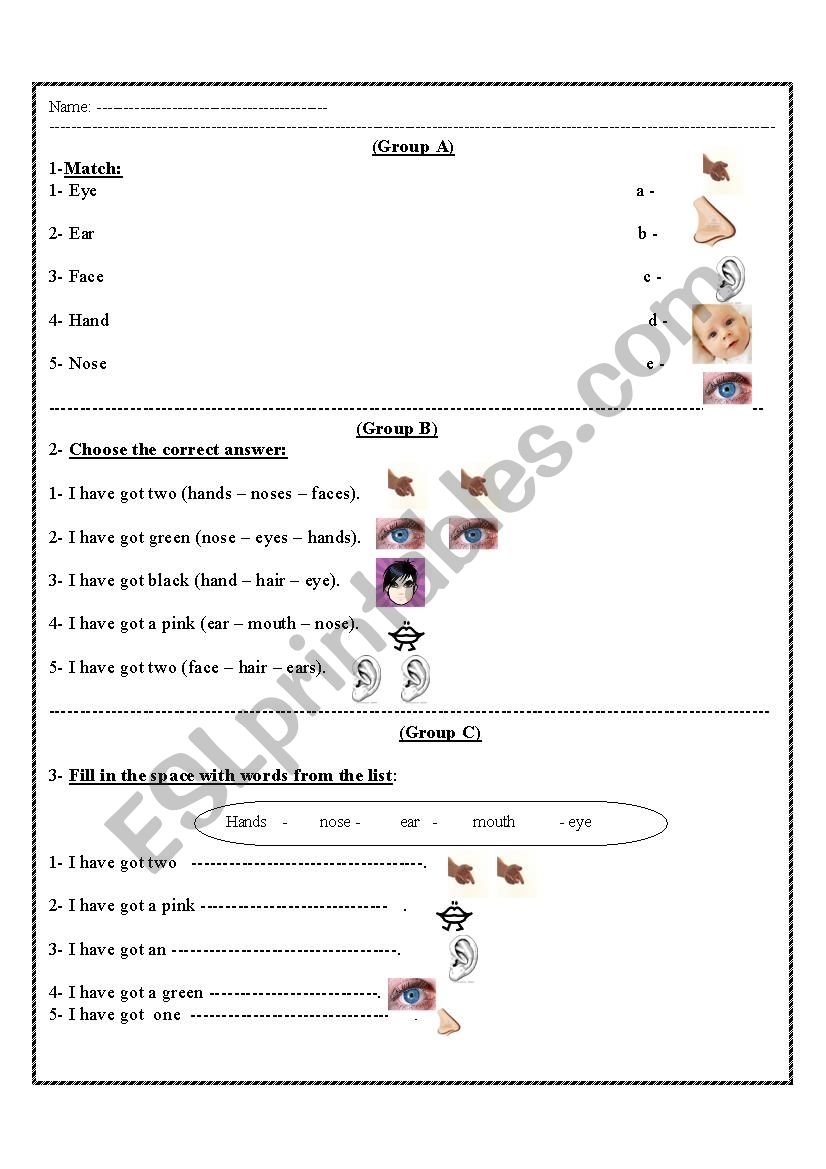 five senses worksheet