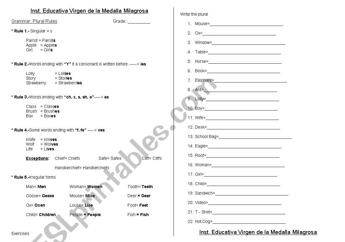 singular and plural worksheet