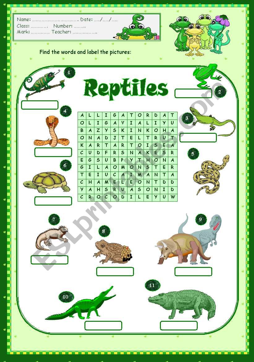 reptiles-esl-worksheet-by-vanda51