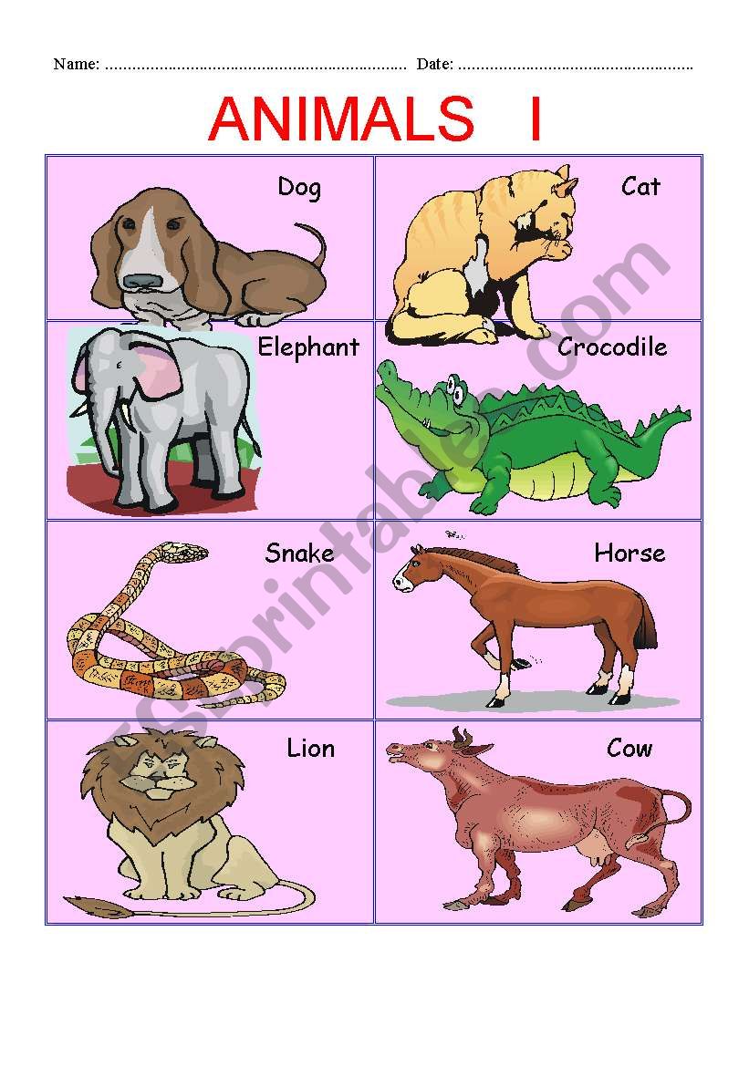 ANIMALS  PART I worksheet
