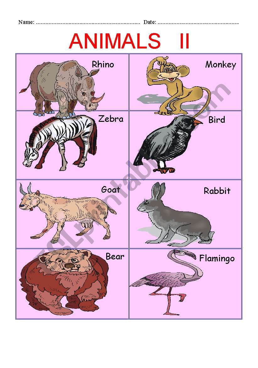 ANIMALS PART II worksheet