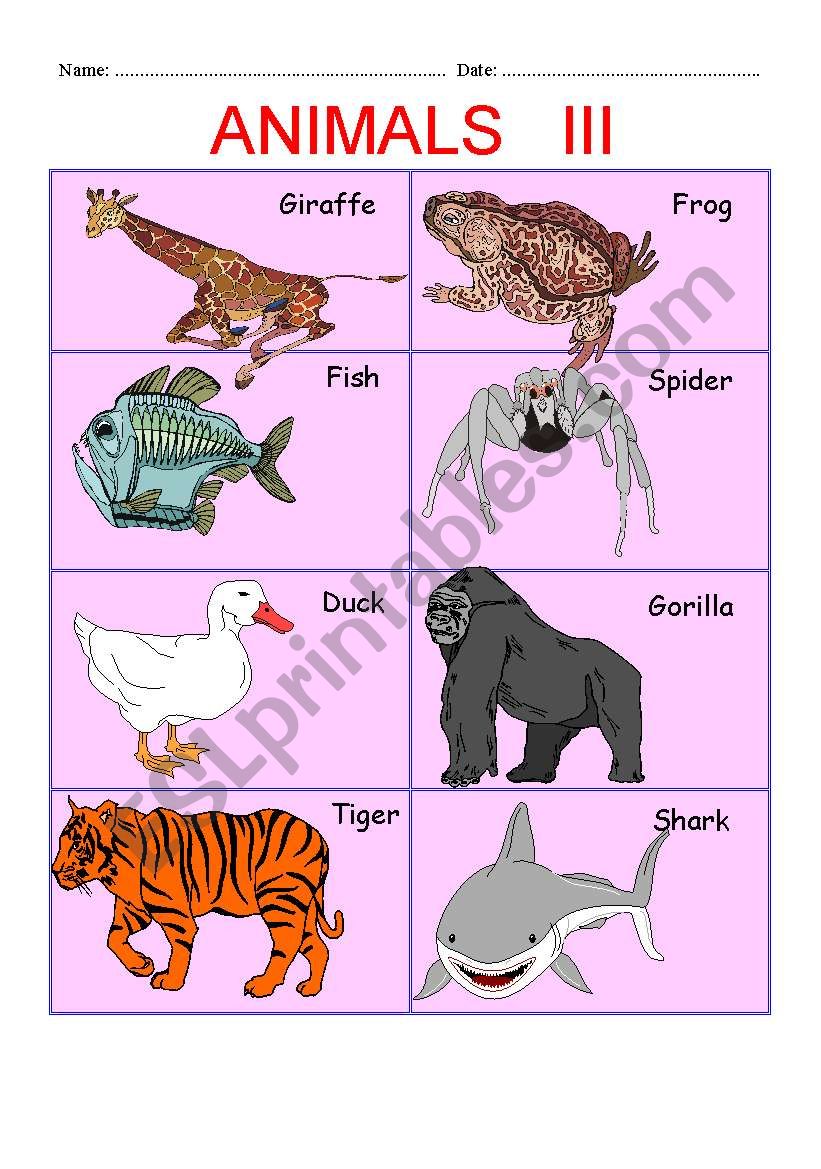 ANIMALS PART III worksheet