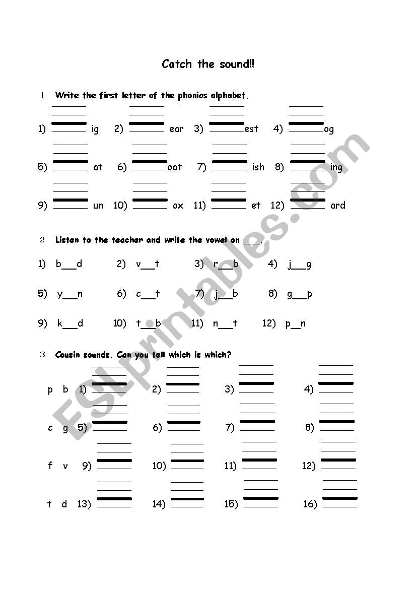 Catch the sound worksheet