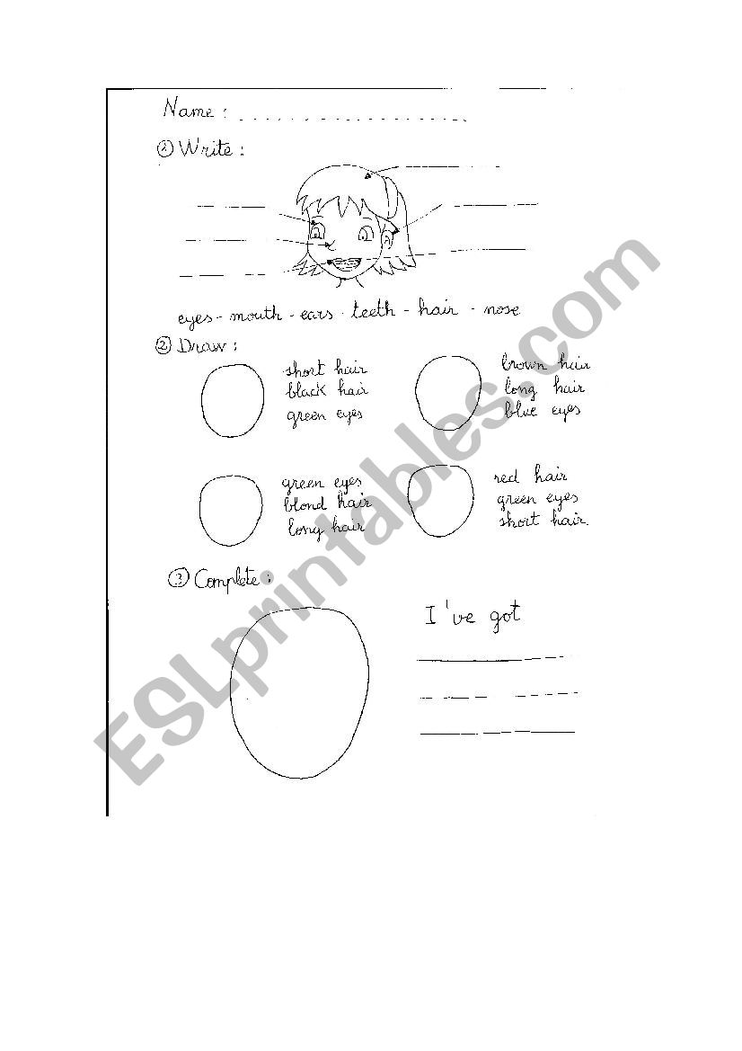 My body worksheet