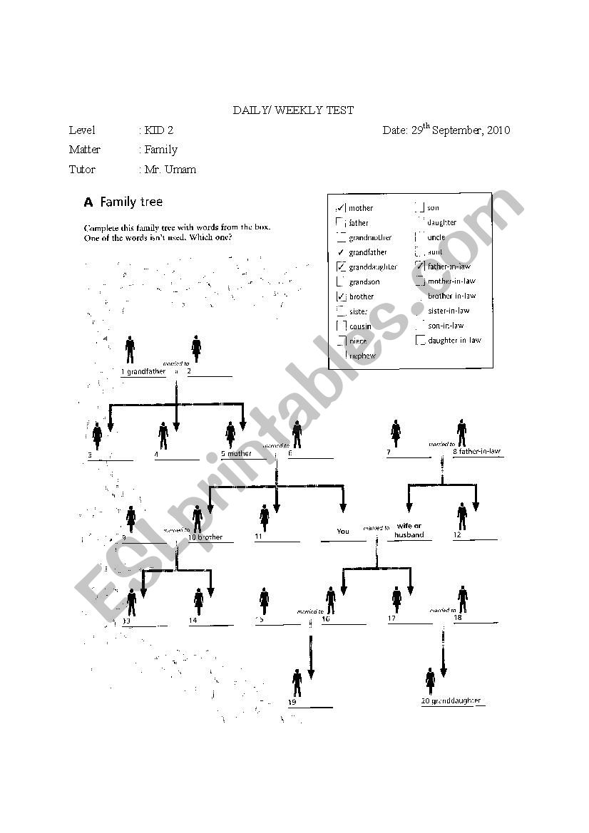 family tree worksheet