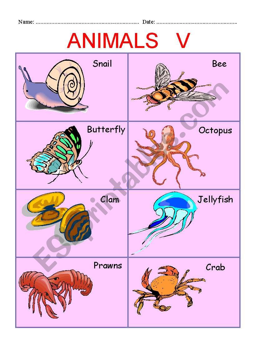 ANIMALS PART V worksheet