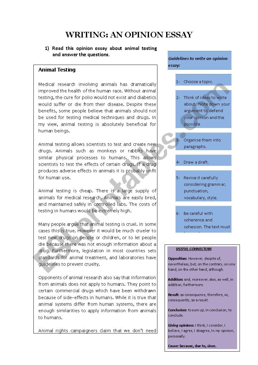 How to write an opinion essay worksheet