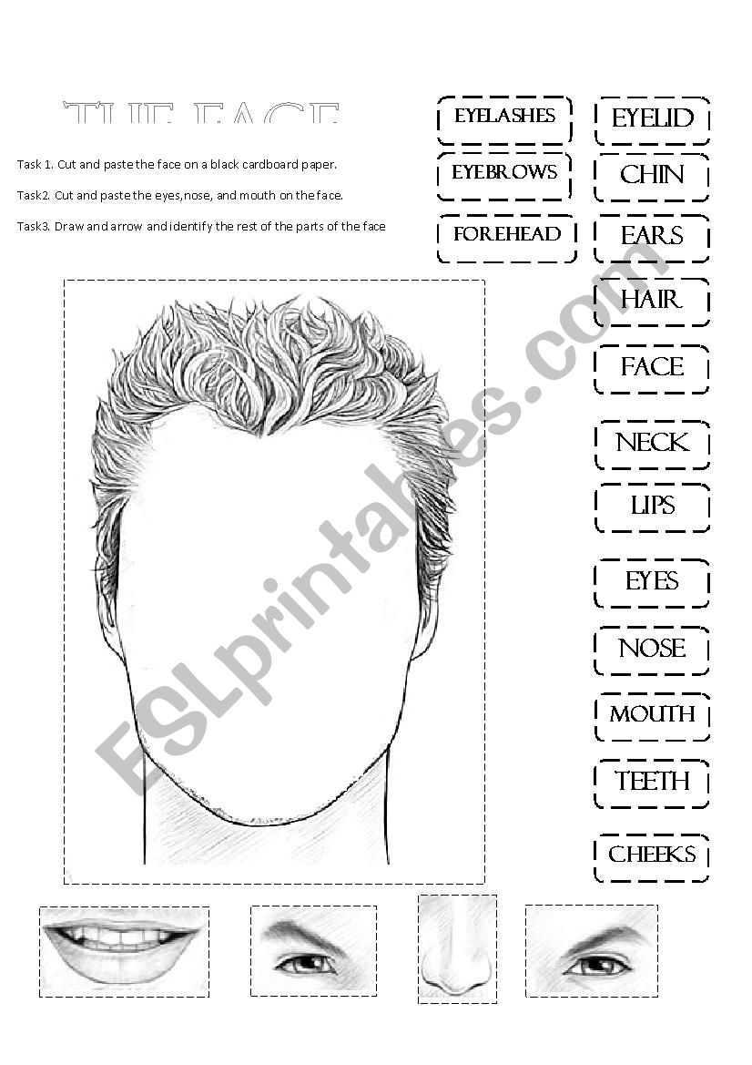 The Face worksheet