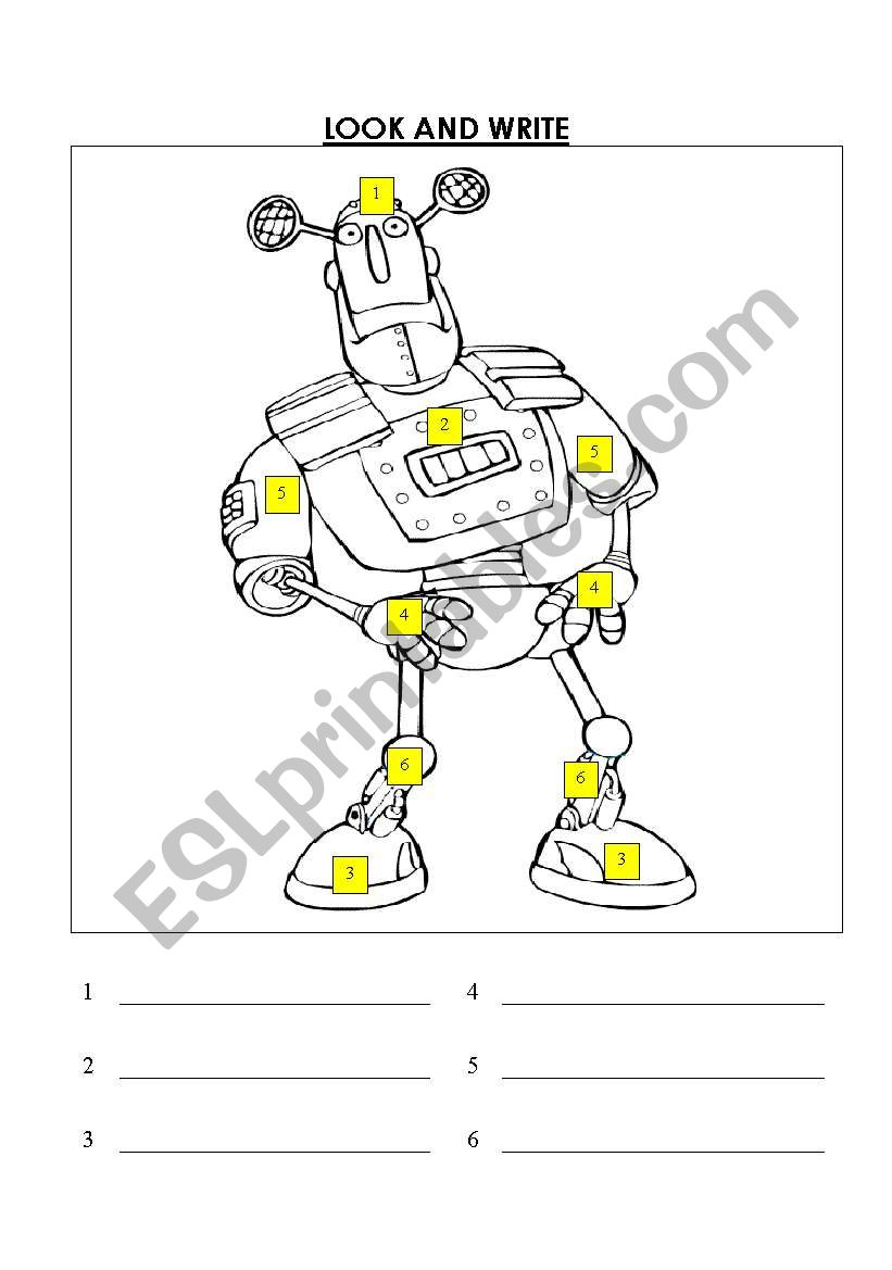 Parts of the body worksheet