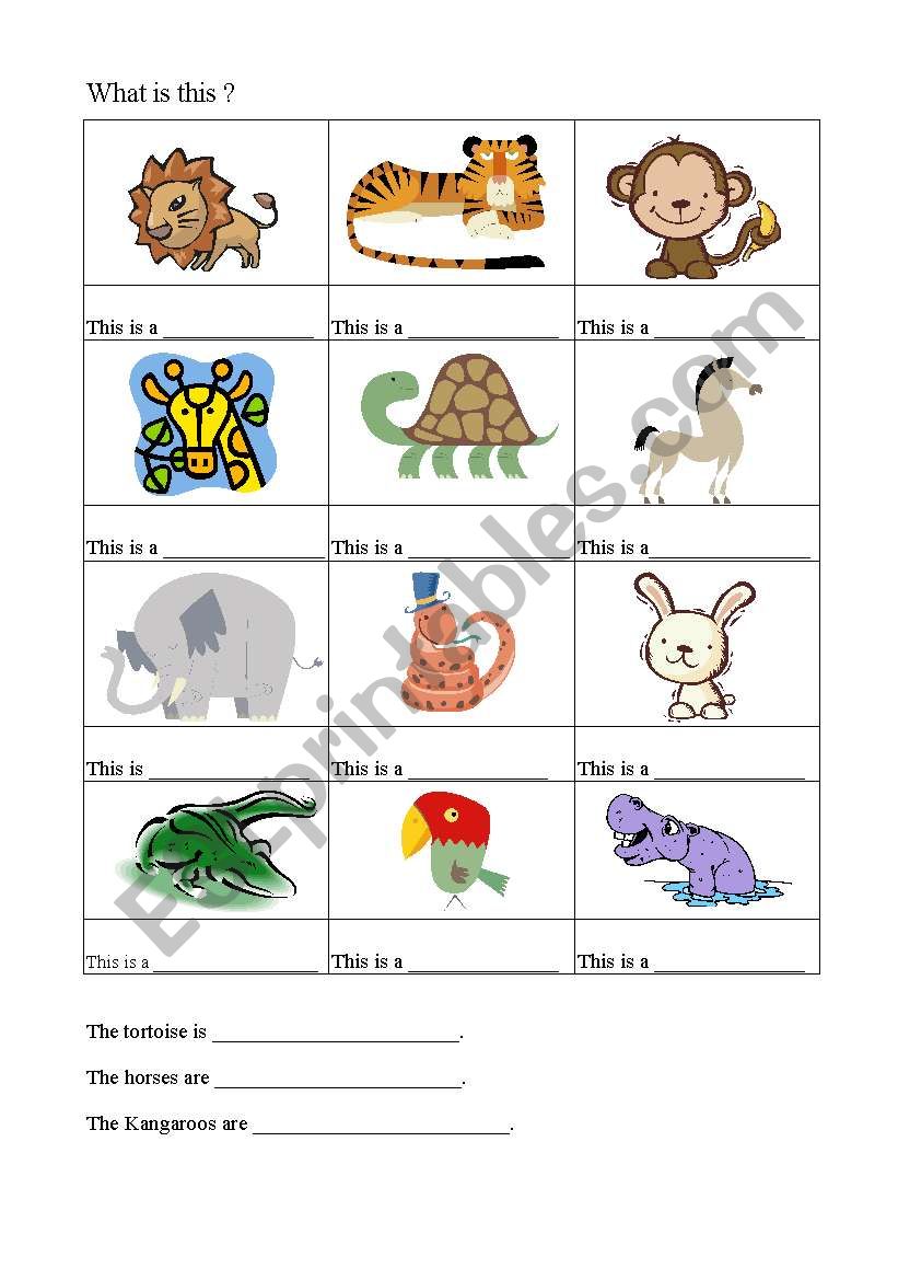 What is this ? worksheet
