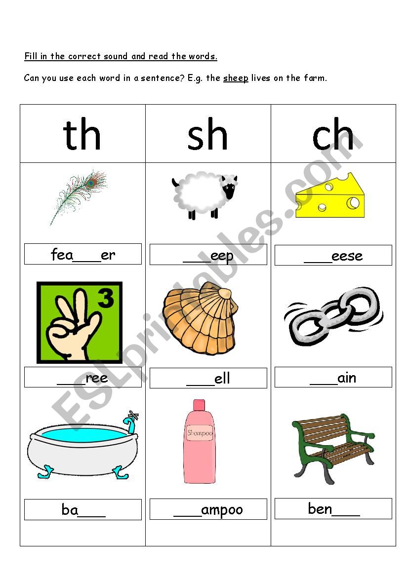 ch sh and th Digraphs worksheet