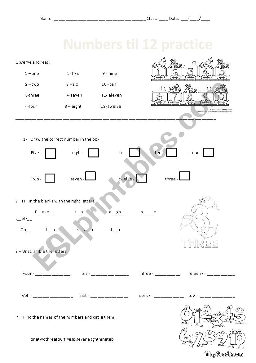 numbers worksheet worksheet