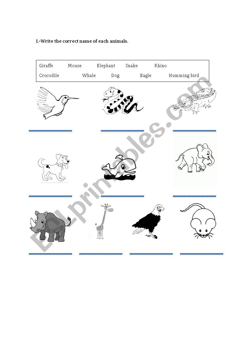 ANIMALS worksheet