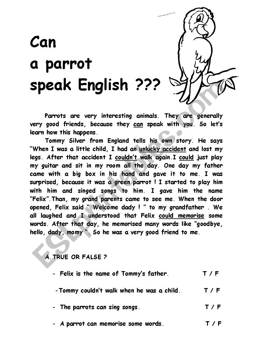Can A Parrot Speak English ? worksheet