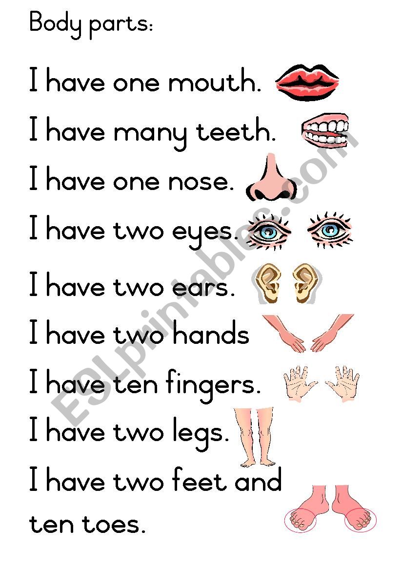 parts of the body worksheet