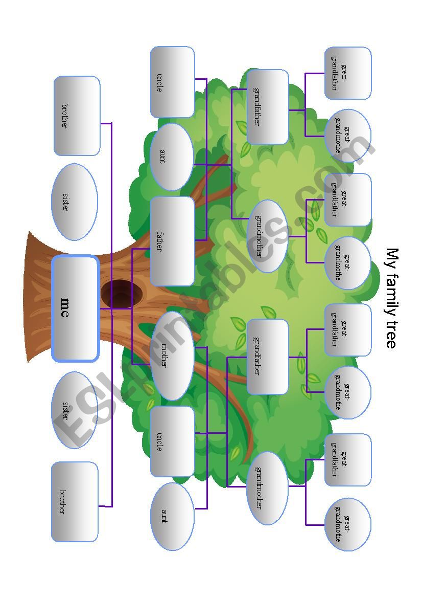 My family tree worksheet