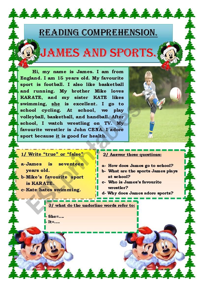 comprehension about sports worksheet