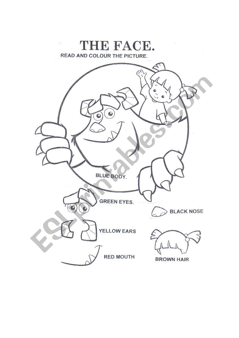 the face worksheet