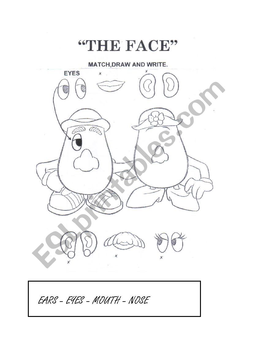 THE FACE worksheet