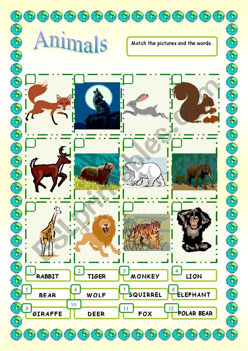 Animals worksheet