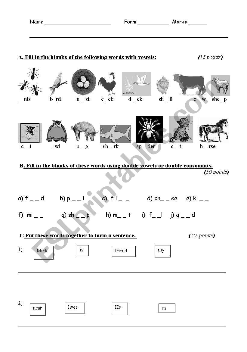 Elementary special paper class test exercises