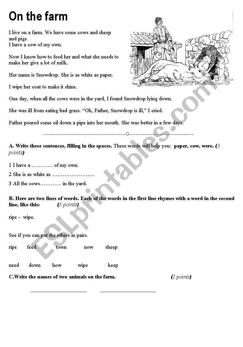 Elementary special paper class test exercises part 2
