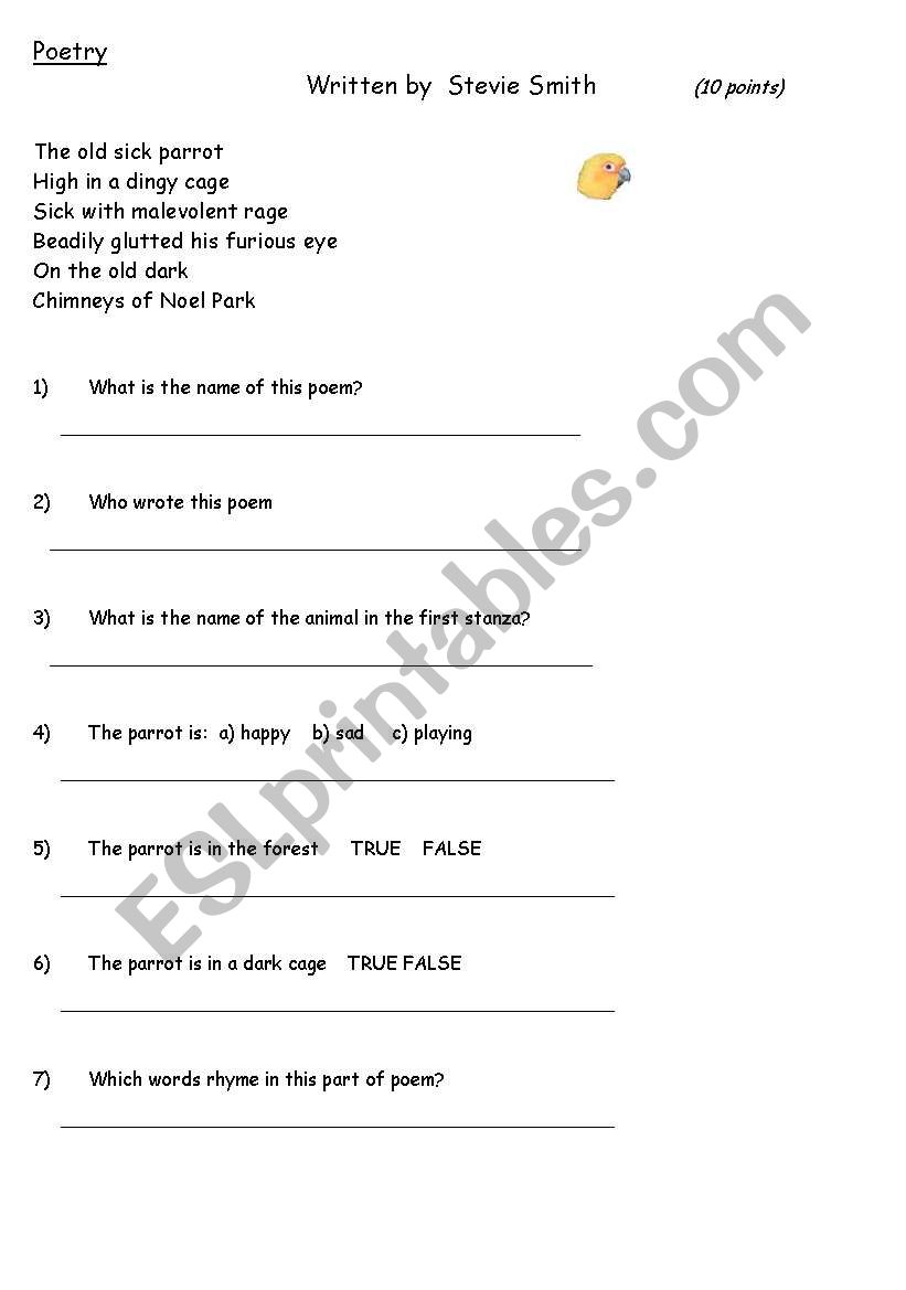 Elementary special paper class test exercises English part 3