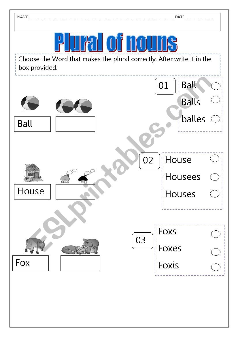 Plural of nouns worksheet